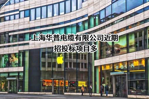 上海华普电缆有限公司