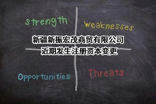 新疆新振宏茂商贸有限公司