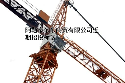 阿勒泰东东商贸有限公司