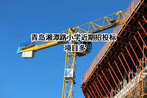 青岛湘潭路小学