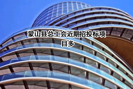 蒙山县总工会近期招投标项目多