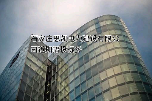 石家庄思凯电力建设有限公司
