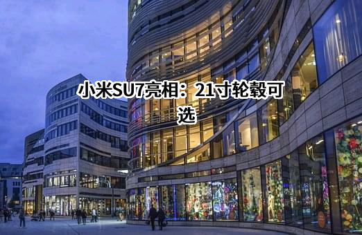 小米汽车有限公司