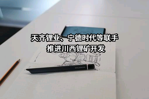 宁德时代新能源科技股份有限公司