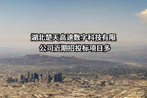 湖北楚天高速数字科技有限公司