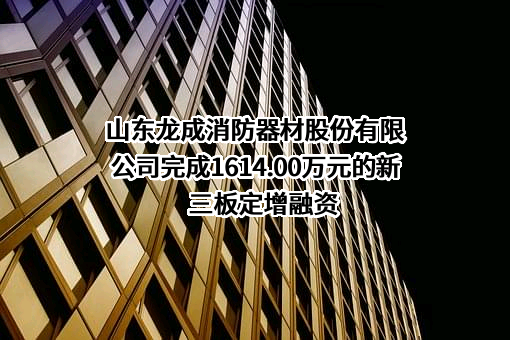 山东龙成消防器材股份有限公司