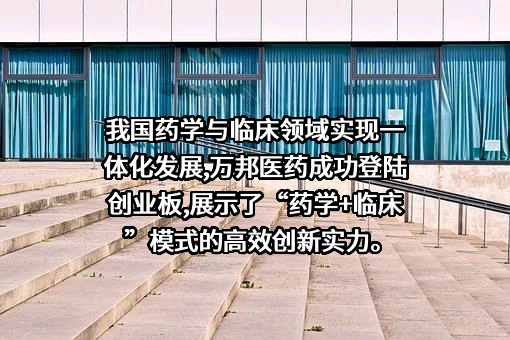 烟台鲁银药业有限公司