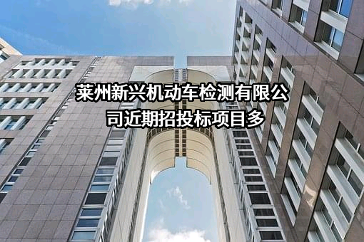 莱州新兴机动车检测有限公司