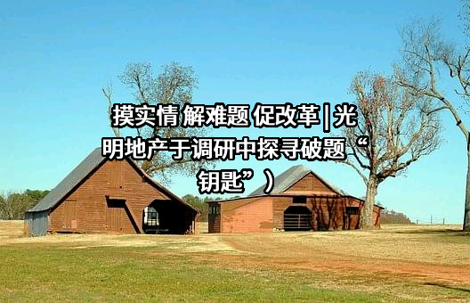 光明房地产集团股份有限公司