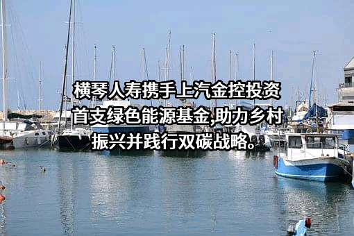 横琴人寿保险有限公司