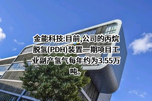 金能科技股份有限公司