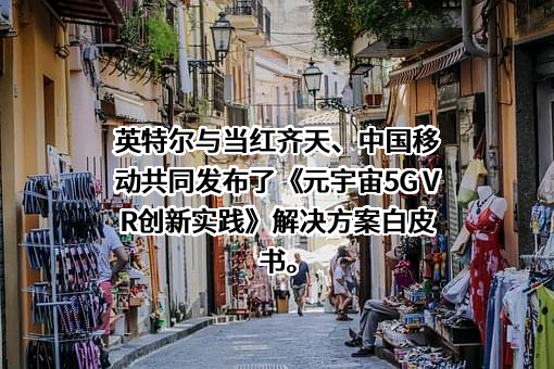 英特尔（中国）有限公司