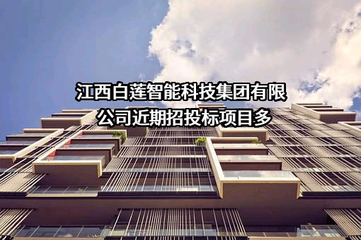 江西白莲智能科技集团有限公司