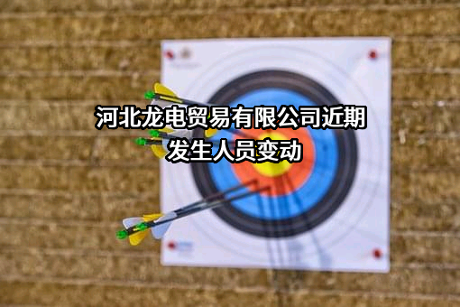河北龙电贸易有限公司