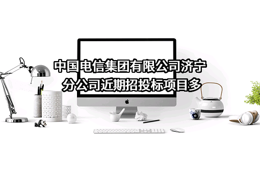 中国电信集团有限公司济宁分公司