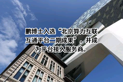 鹏博士电信传媒集团股份有限公司