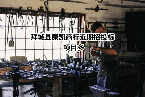 拜城县康凯商行