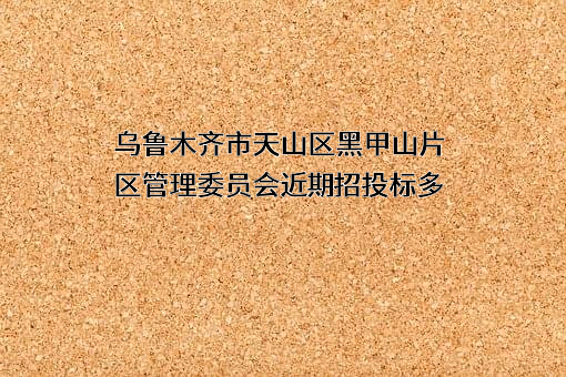 乌鲁木齐市天山区黑甲山片区管理委员会