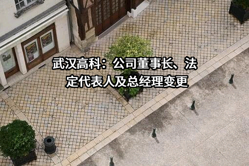 武汉高科国有控股集团有限公司