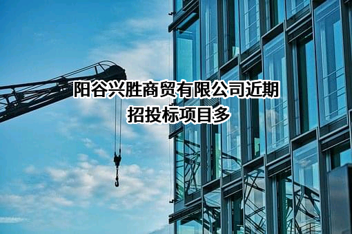 阳谷兴胜商贸有限公司