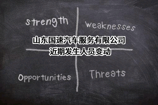 山东国速汽车服务有限公司