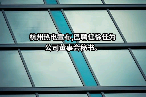 杭州热电集团股份有限公司