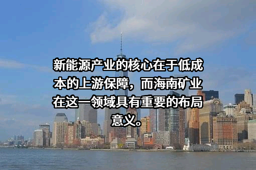 海南矿业股份有限公司