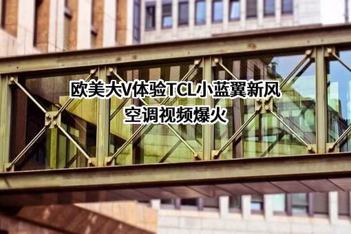 欧美大V体验TCL小蓝翼新风空调视频爆火