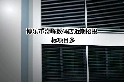 博乐市奇峰数码店