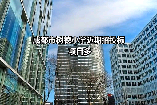 成都市树德小学