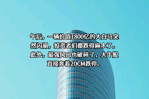 辉瑞公司