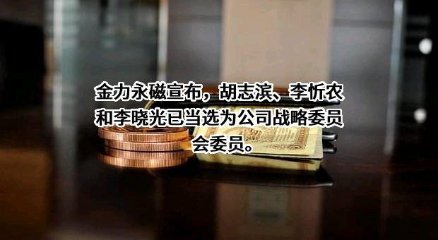 江西金力永磁科技股份有限公司