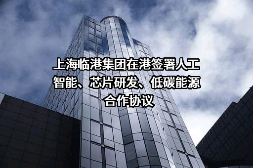上海临港经济发展（集团）有限公司