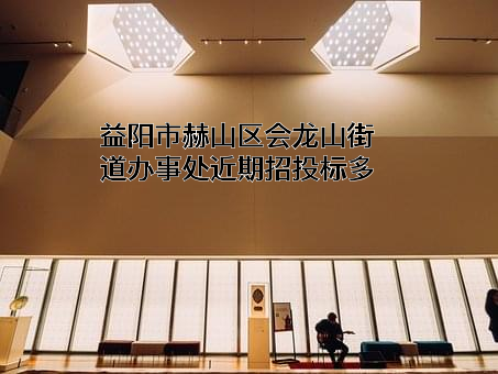 益阳市赫山区会龙山街道办事处近期招投标项目多