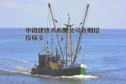中徽建技术有限公司