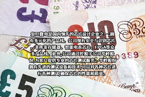 上海华岭集成电路技术股份有限公司