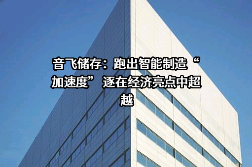 南京音飞储存设备（集团）股份有限公司