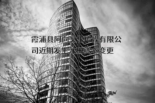 霞浦县阿向文化传媒有限公司