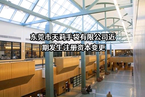 东莞市天莉手袋有限公司