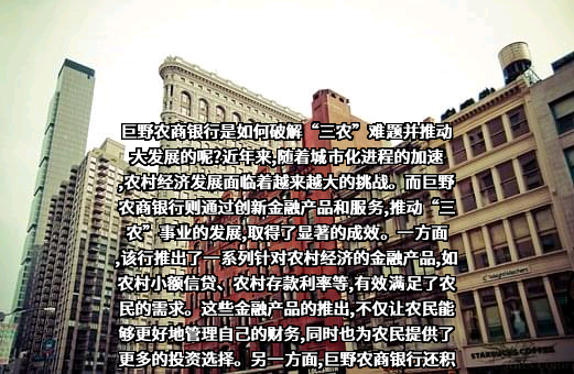 山东巨野农村商业银行股份有限公司