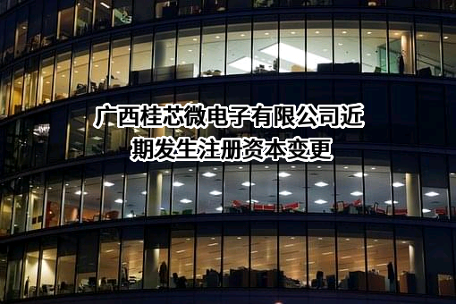 广西桂芯微电子有限公司
