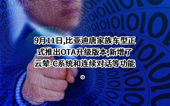 比亚迪股份有限公司