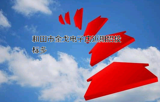 和田市金戈电子店