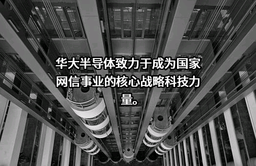 华大半导体有限公司