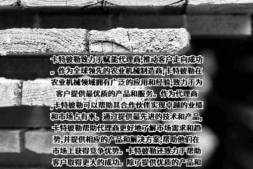 卡特彼勒（中国）投资有限公司