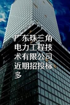 广东珠三角电力工程技术有限公司