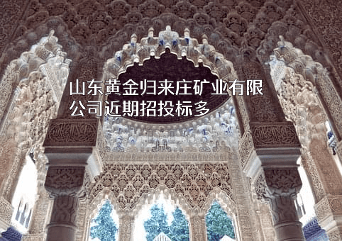 山东黄金归来庄矿业有限公司