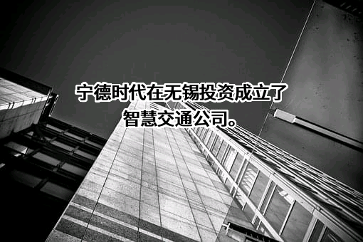 宁德时代新能源科技股份有限公司