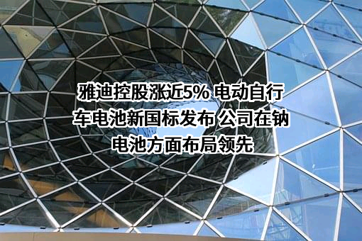 雅迪集团控股有限公司