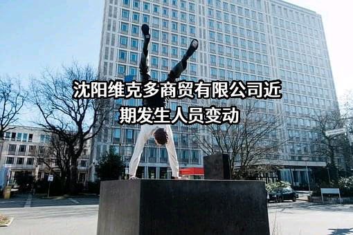 沈阳维克多商贸有限公司